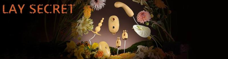 调整大小 Female Vibrator.jpg